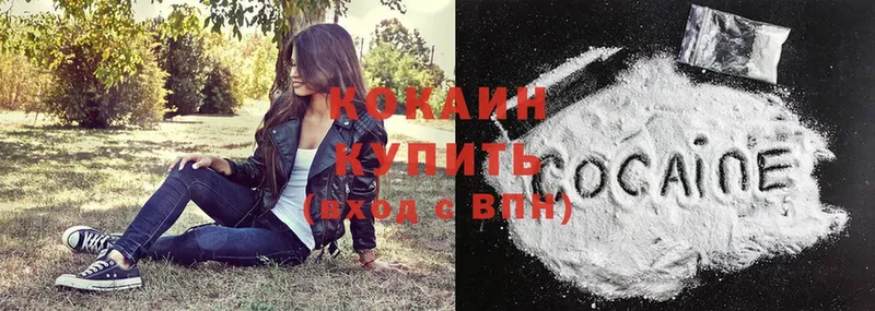 Cocaine FishScale  дарнет шоп  Нижние Серги 