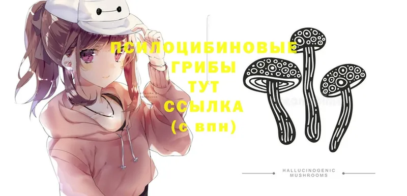 Псилоцибиновые грибы Magic Shrooms  Нижние Серги 